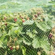 Сітка захисна